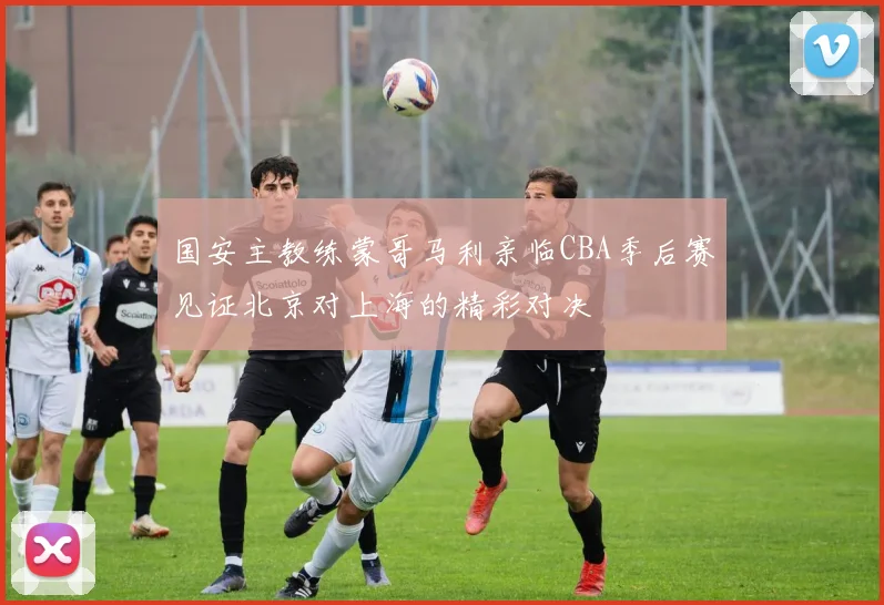 国安主教练蒙哥马利亲临CBA季后赛见证北京对上海的精彩对决