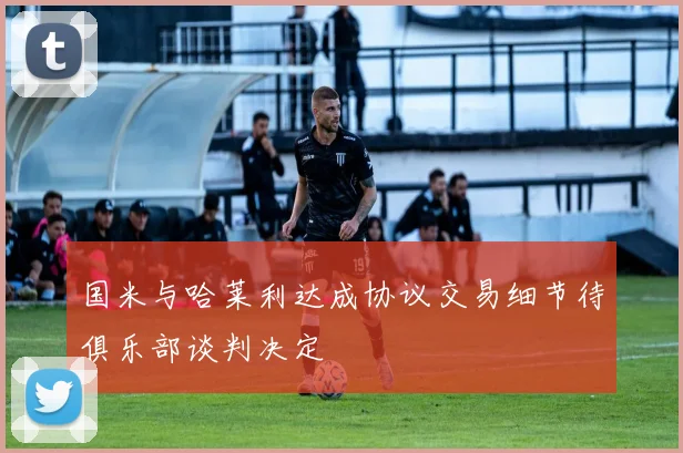 国米与哈莱利达成协议交易细节待俱乐部谈判决定