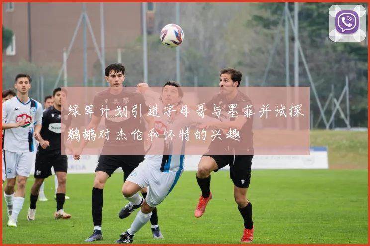 绿军计划引进字母哥与墨菲并试探鹈鹕对杰伦和怀特的兴趣